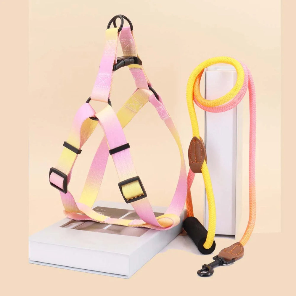 Colorful Pet Harness & Leash Set