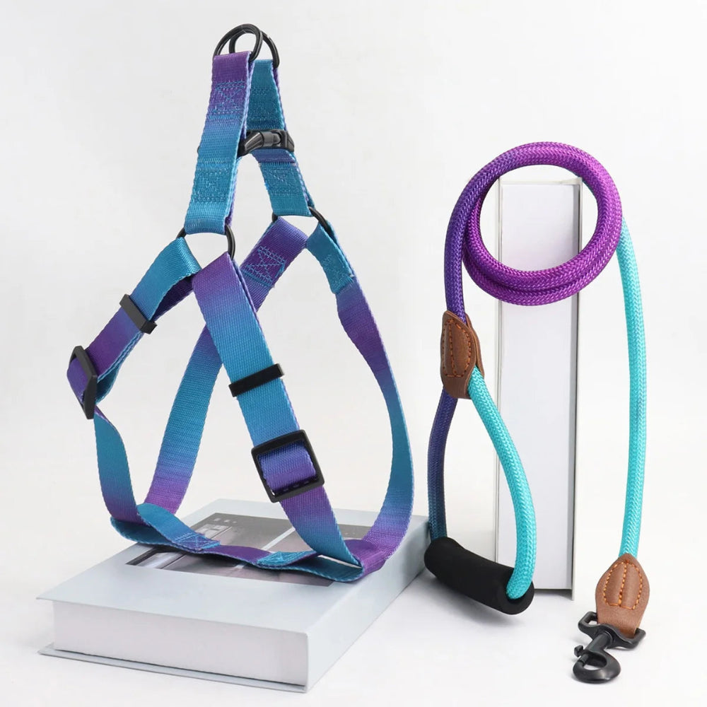 Colorful Pet Harness & Leash Set