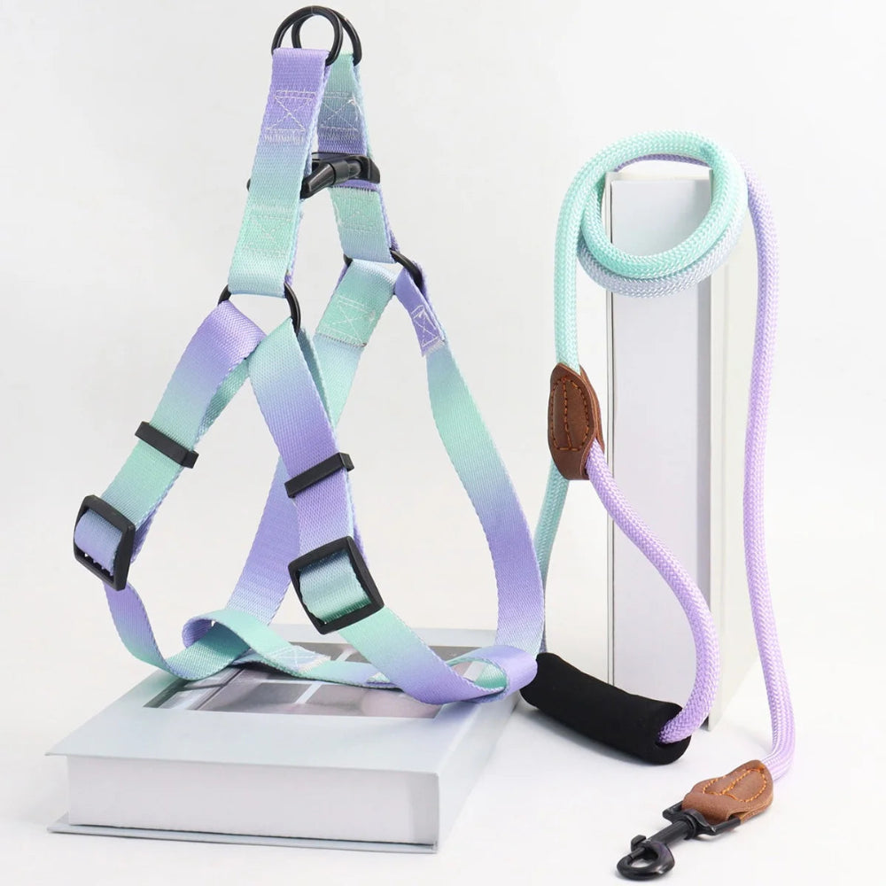 Colorful Pet Harness & Leash Set