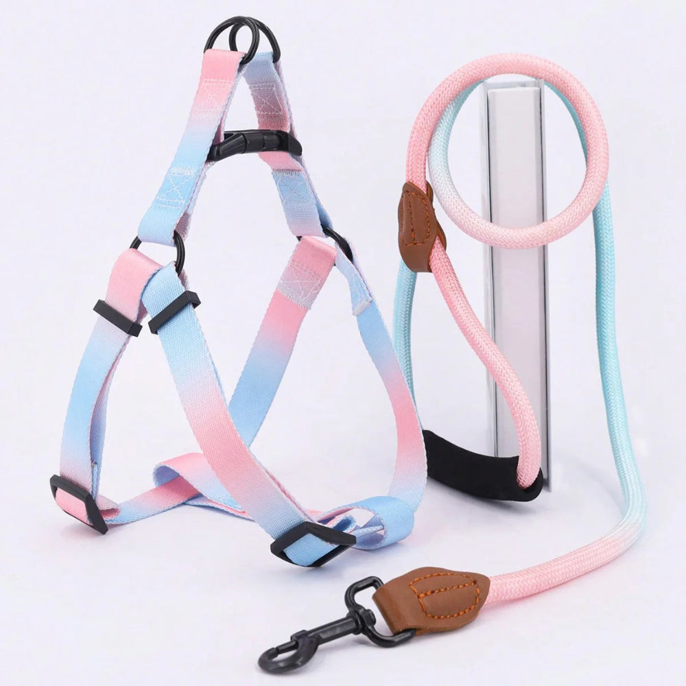 Colorful Pet Harness & Leash Set