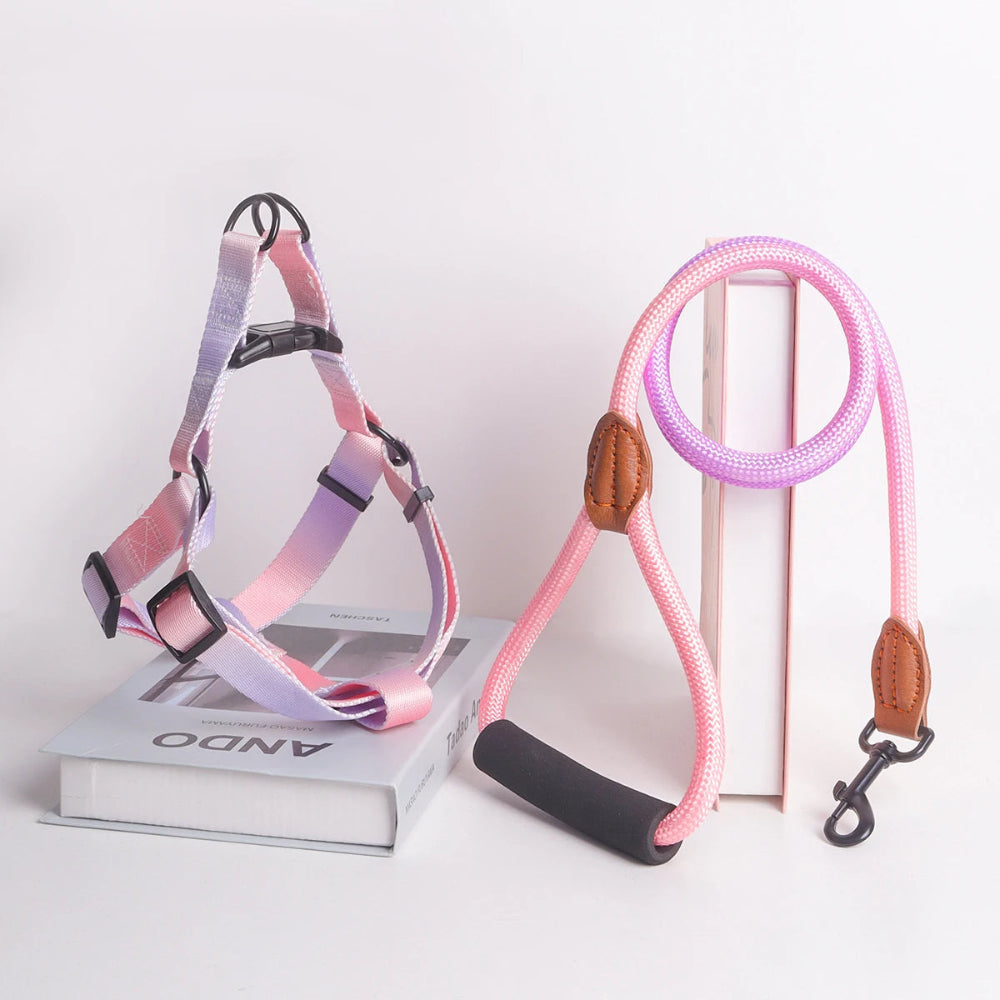 Colorful Pet Harness & Leash Set