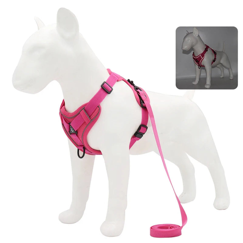 No-Pull Harness & Leash Set for Small Pets