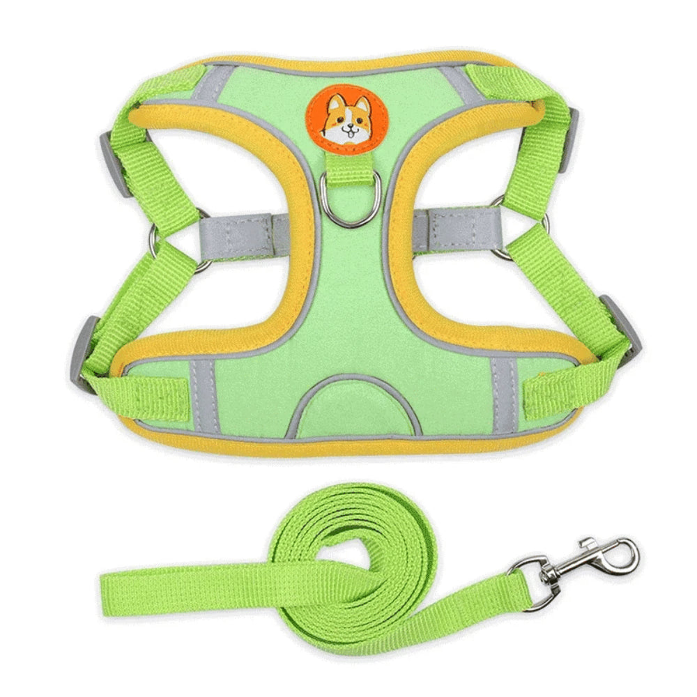 Adjustable Reflective Dog Harness & Leash