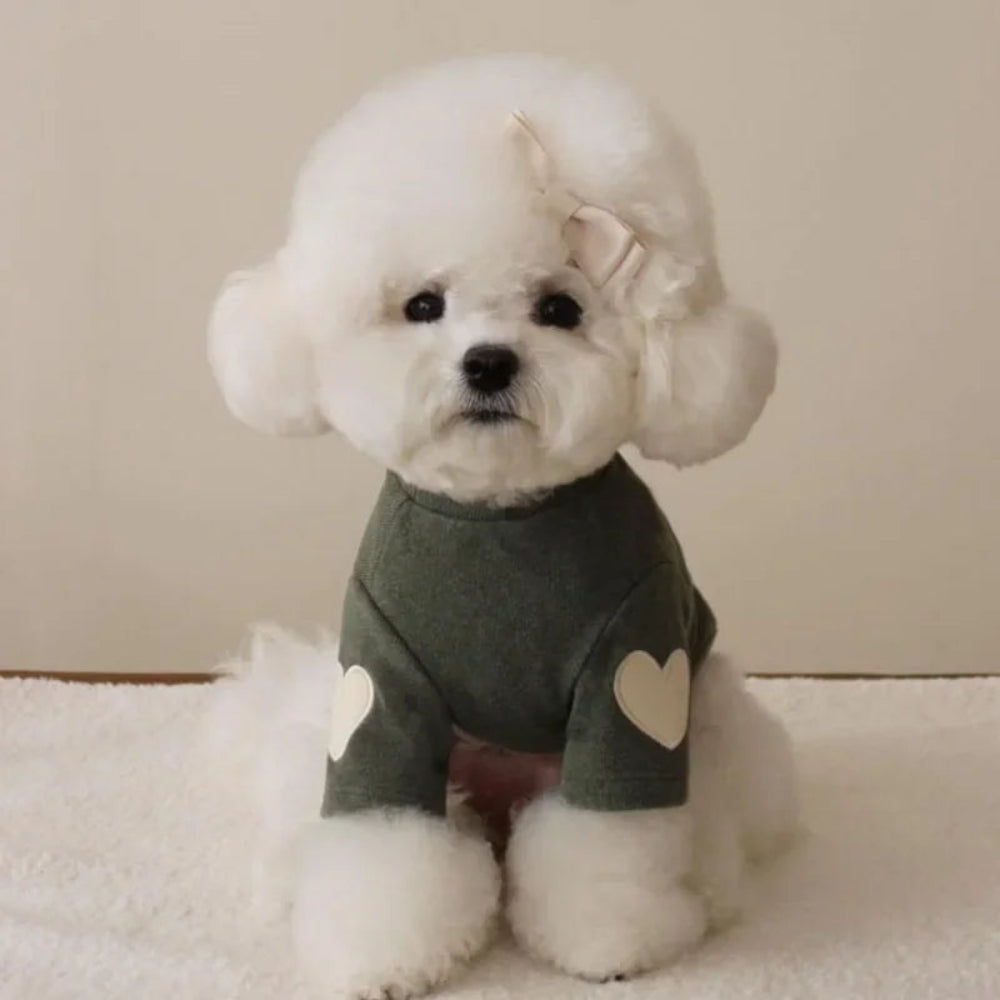 Love Winter Warm Pet Hoodie