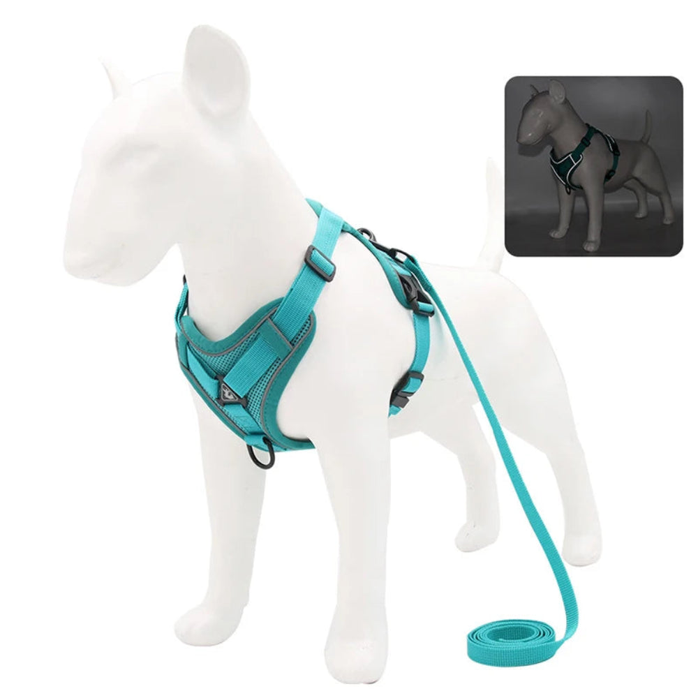 No-Pull Harness & Leash Set for Small Pets