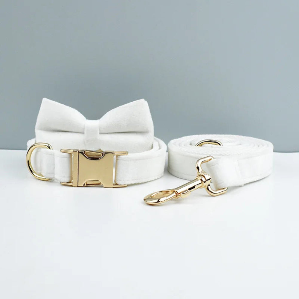 Luxury Personalized Dog Collar Harness & Leash