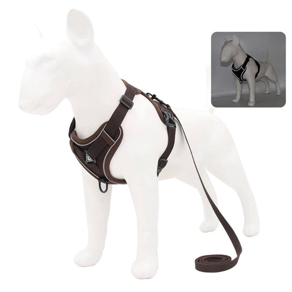 No-Pull Harness & Leash Set for Small Pets