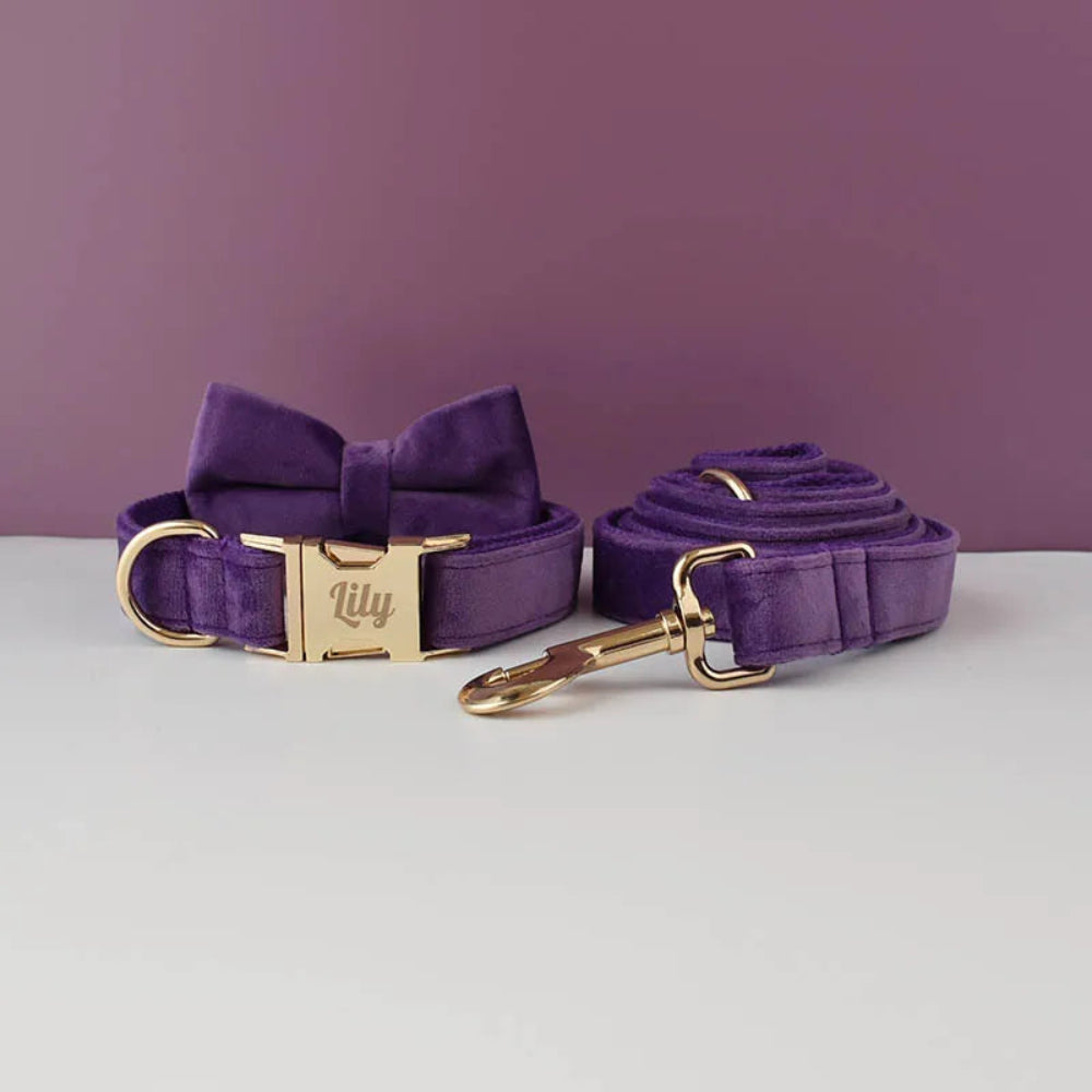 Luxury Personalized Dog Collar Harness & Leash