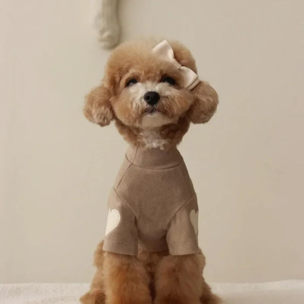 Love Winter Warm Pet Hoodie