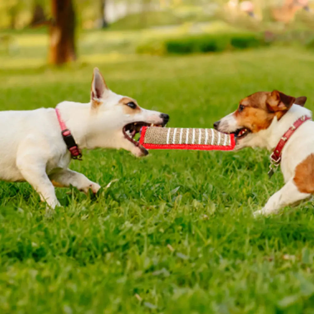 Durable Dog Bite Stick Toy