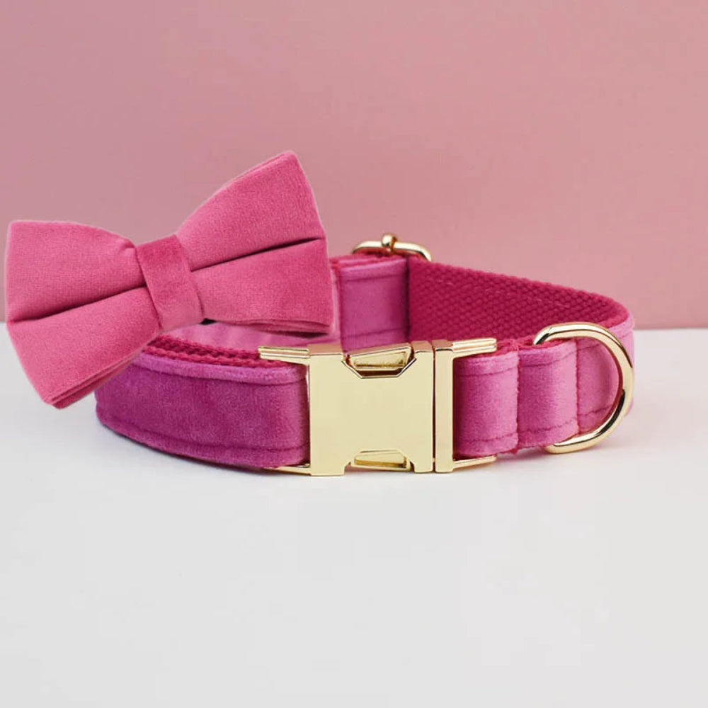 Luxury Personalized Dog Collar Harness & Leash