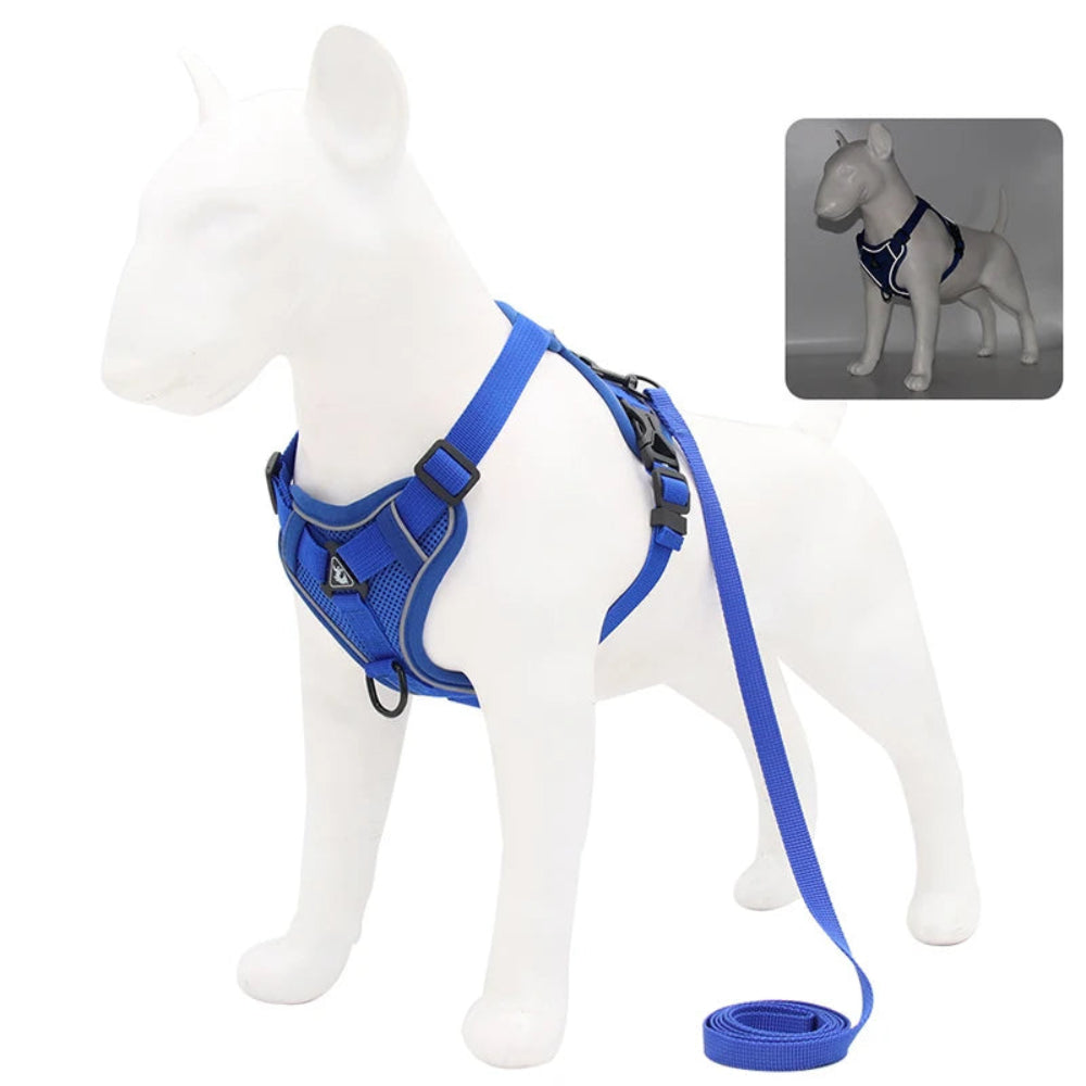 No-Pull Harness & Leash Set for Small Pets