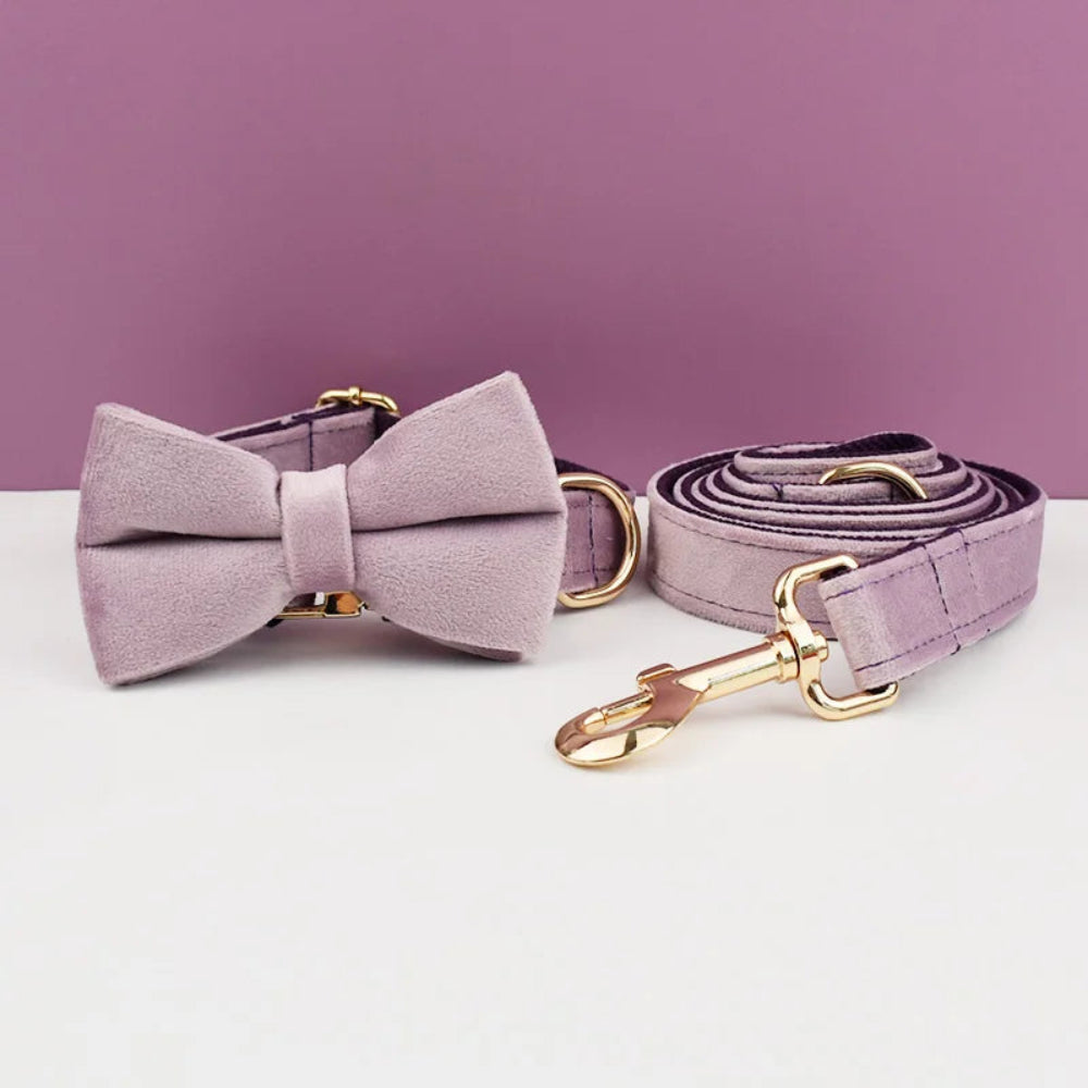 Luxury Personalized Dog Collar Harness & Leash