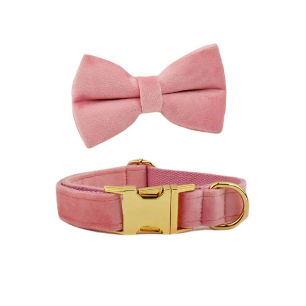 Luxury Personalized Dog Collar Harness & Leash