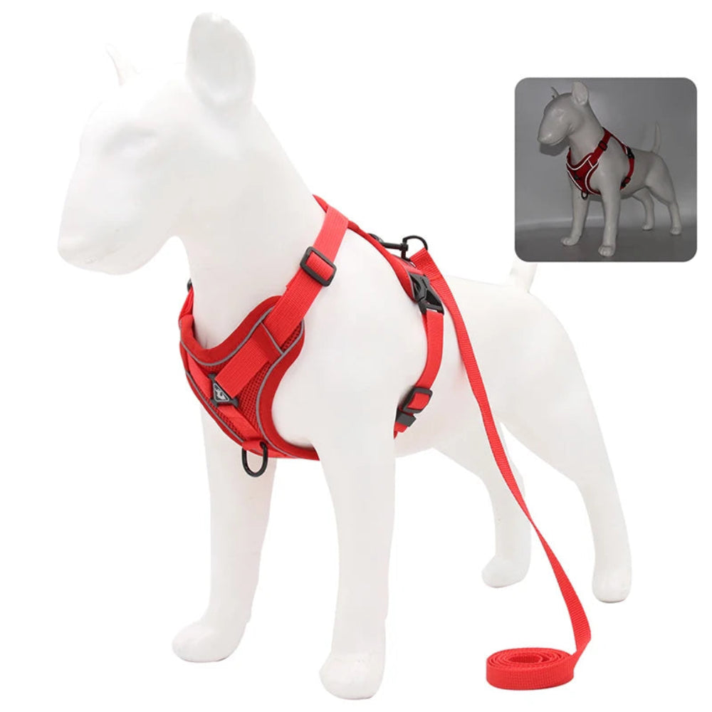 No-Pull Harness & Leash Set for Small Pets