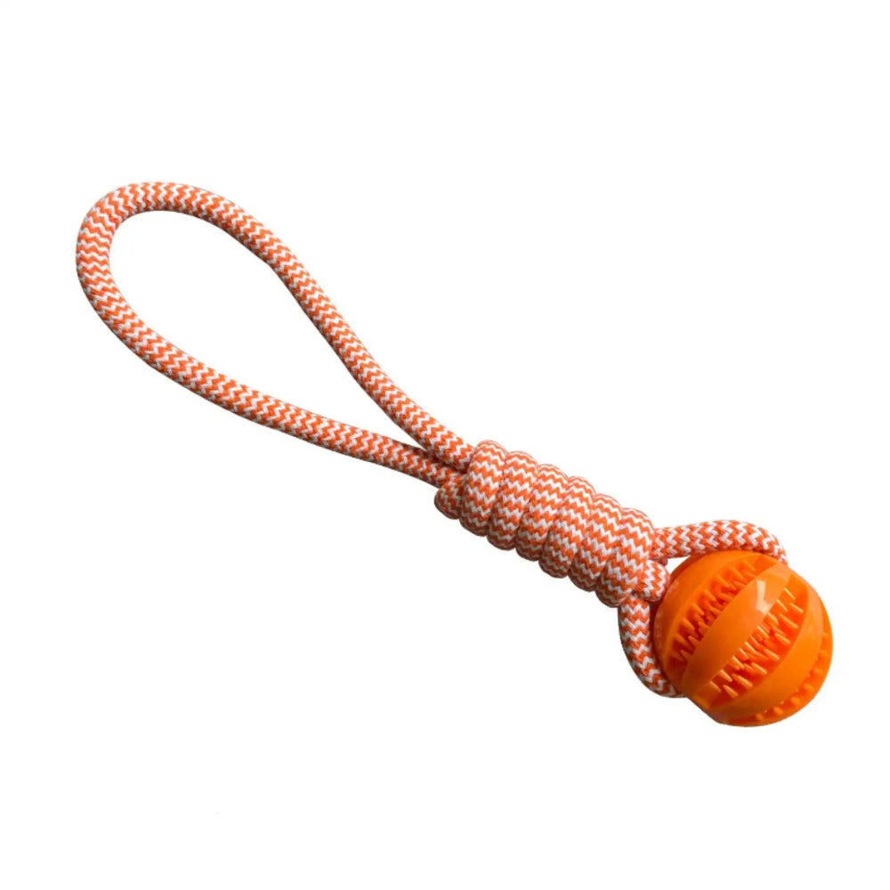 Interactive Treat Rope Dog Ball