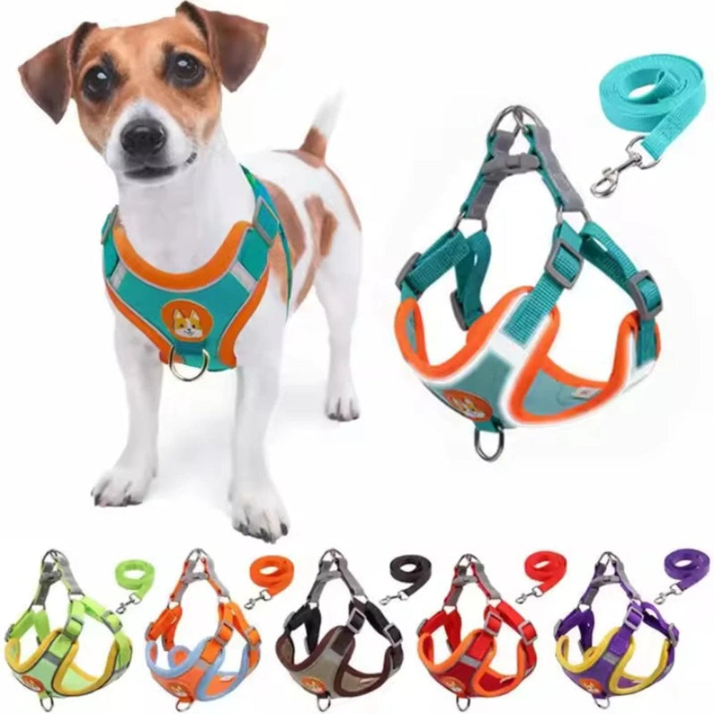 Adjustable Reflective Dog Harness & Leash