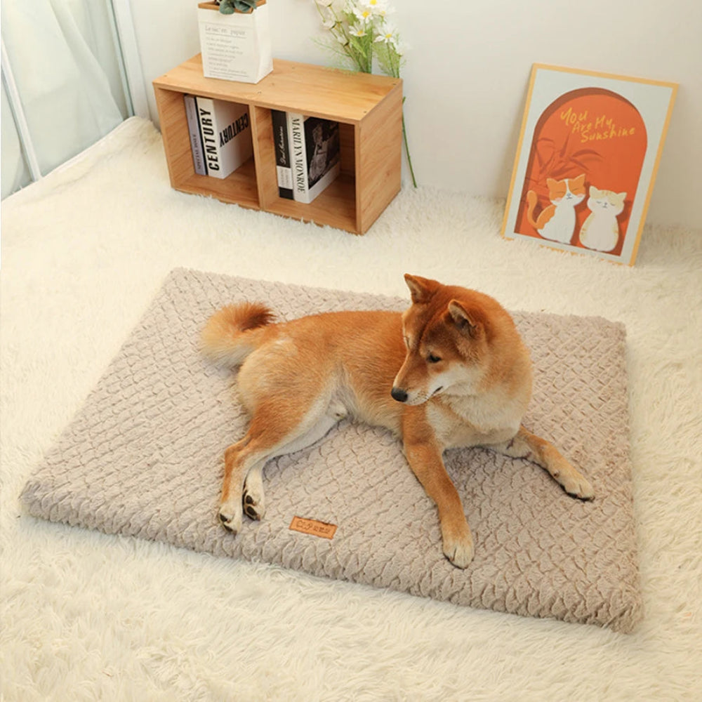 Soft & Washable Plush Pet Bed