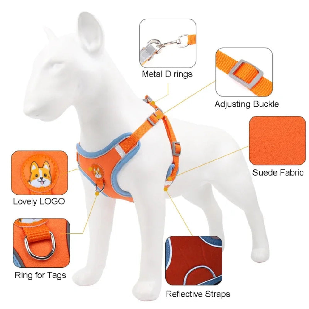 Adjustable Reflective Dog Harness & Leash