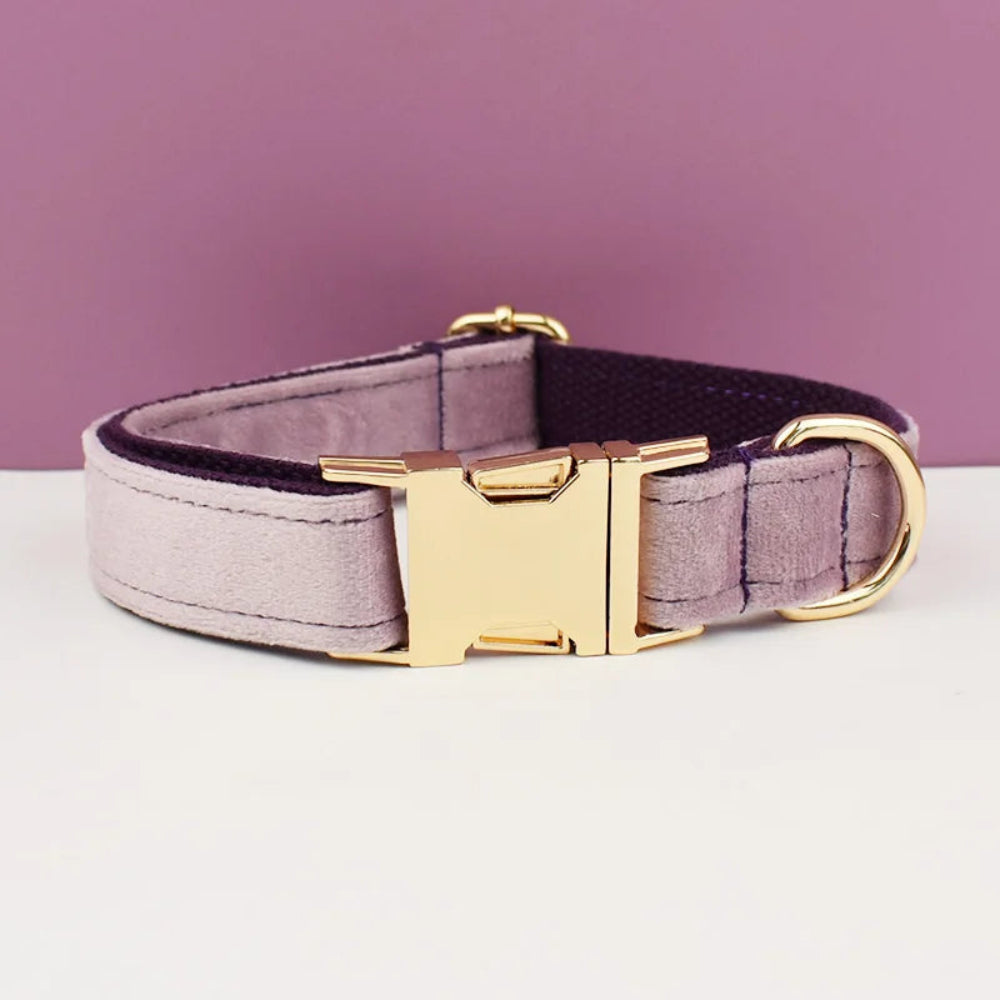 Luxury Personalized Dog Collar Harness & Leash