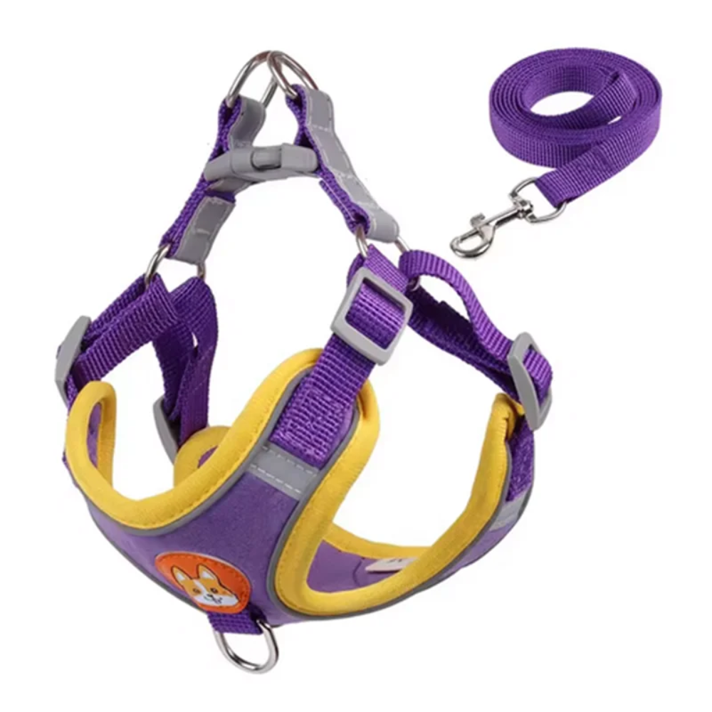 Adjustable Reflective Dog Harness & Leash