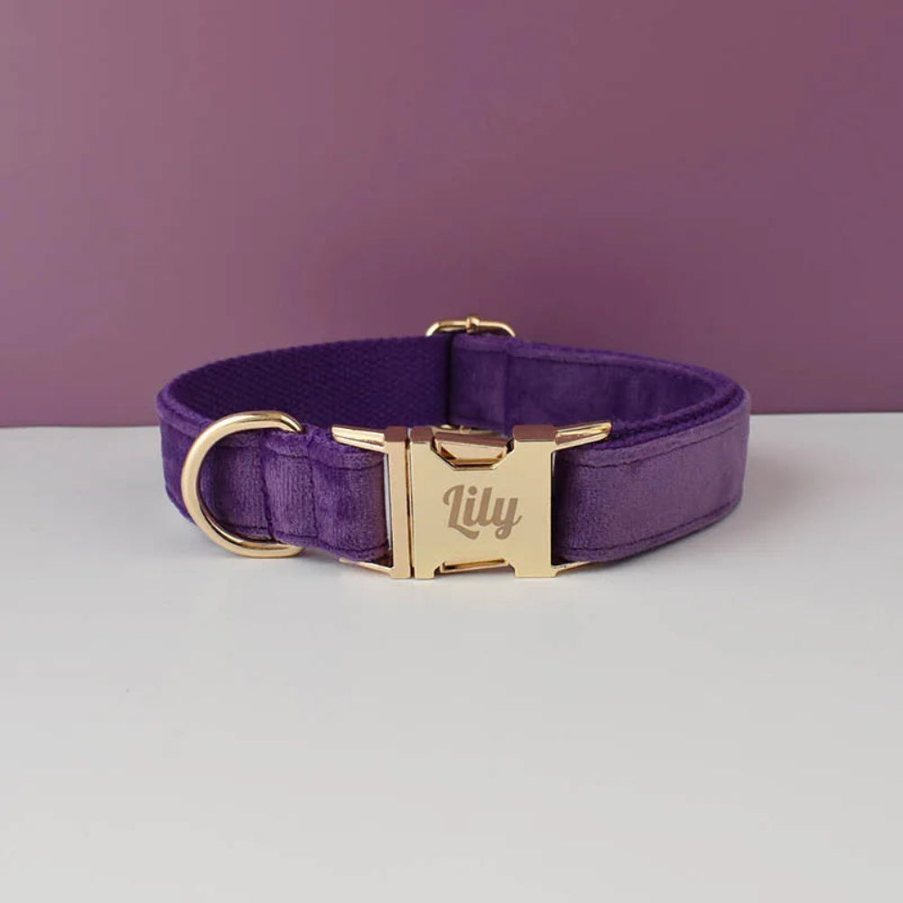 Luxury Personalized Dog Collar Harness & Leash