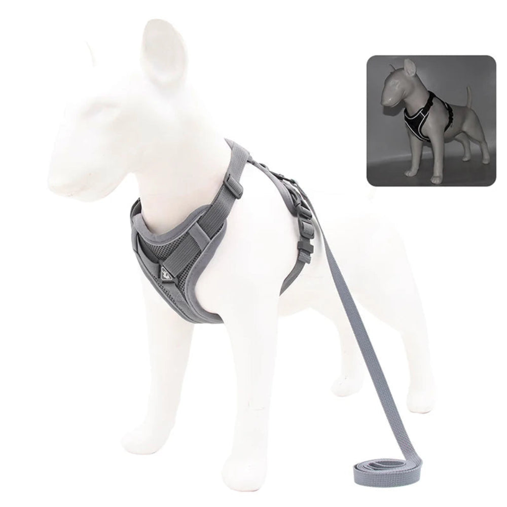 No-Pull Harness & Leash Set for Small Pets