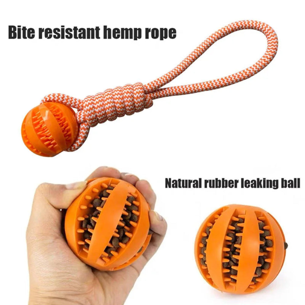 Interactive Treat Rope Dog Ball