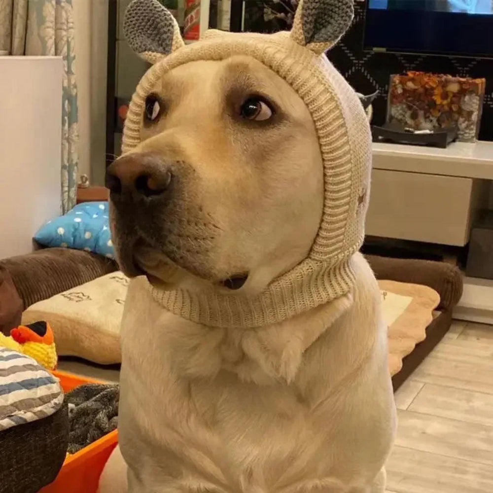 Dog Ear Muffs & Warm Hat