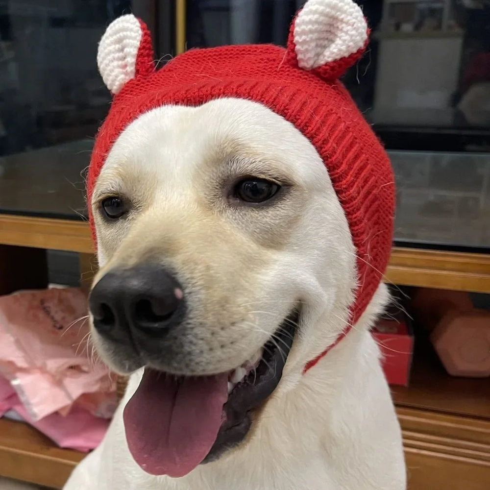 Dog Ear Muffs & Warm Hat